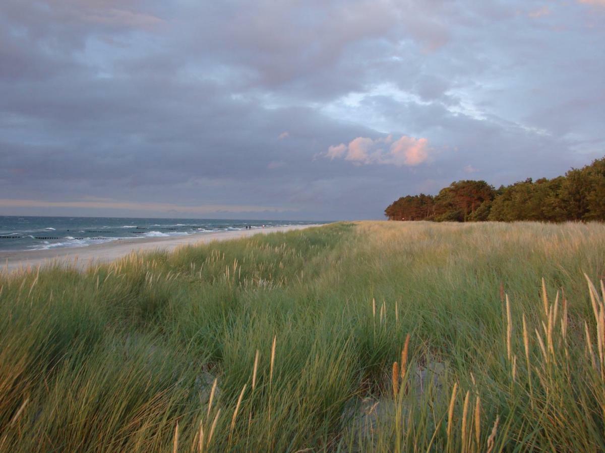 Ferienwohnung Am Strand Zingst Exterior photo